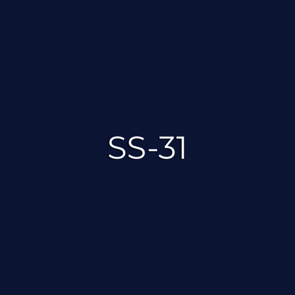 SS-31